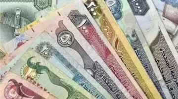 استقرار الصرف.. سعر الدينار الكويتي والعملات العربية في البنوك خلال تعاملات الأربعاء